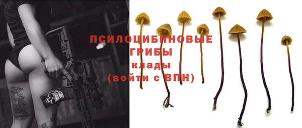 эйфоретик Балахна