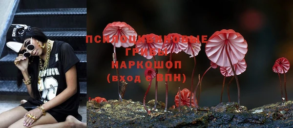 эйфоретик Балахна